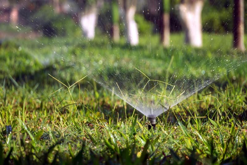 irrigation drip lines installed in a garden bed
