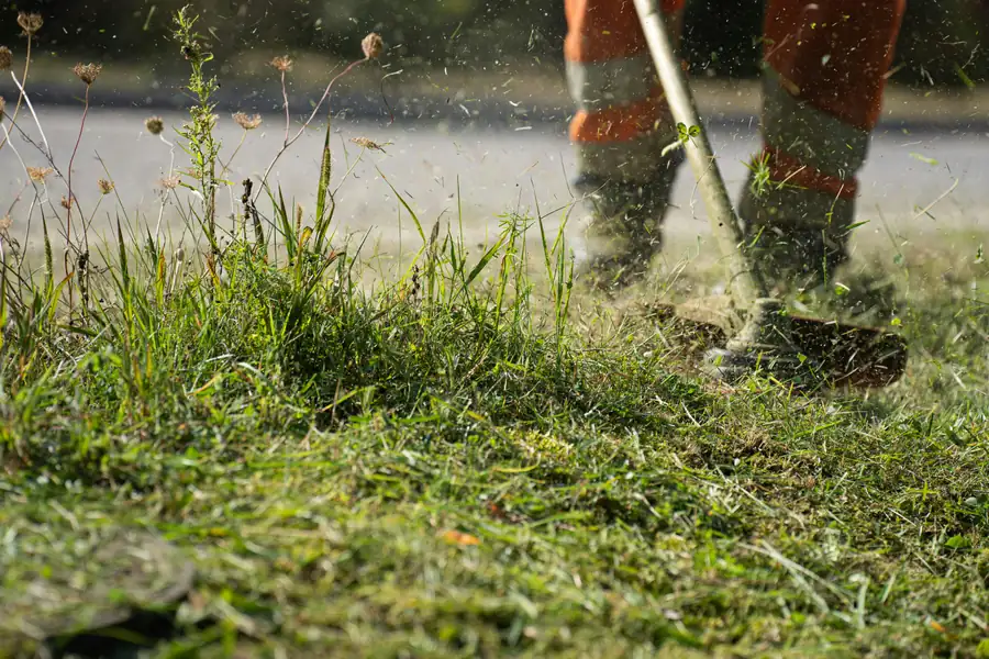 Landscaping work on a residential property in Calgary, AB
