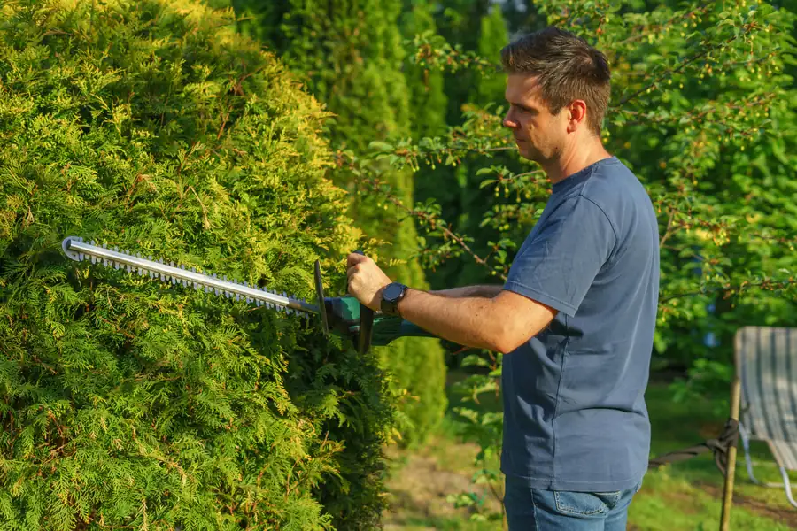 Landscaping contractor working in Colorado Springs, CO