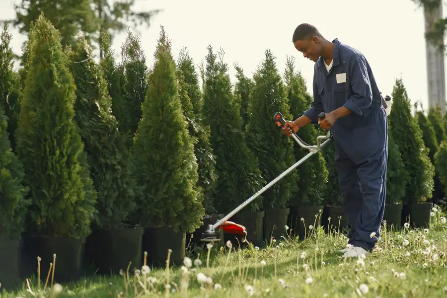 Landscaping work on a residential property in Colorado Springs, CO