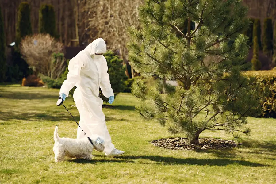 Pest Control work on a residential property in Newark, NJ